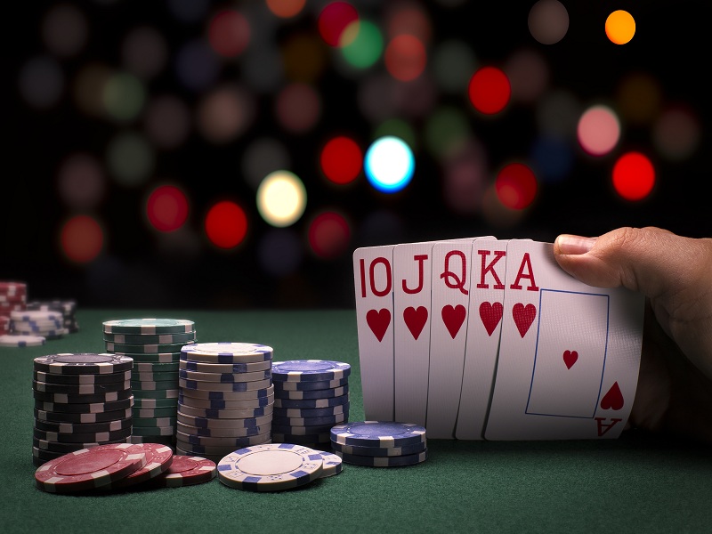 Who is POKERKU19? A Guide